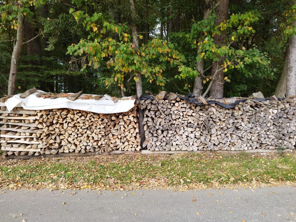 Brennholz Hartholz 2