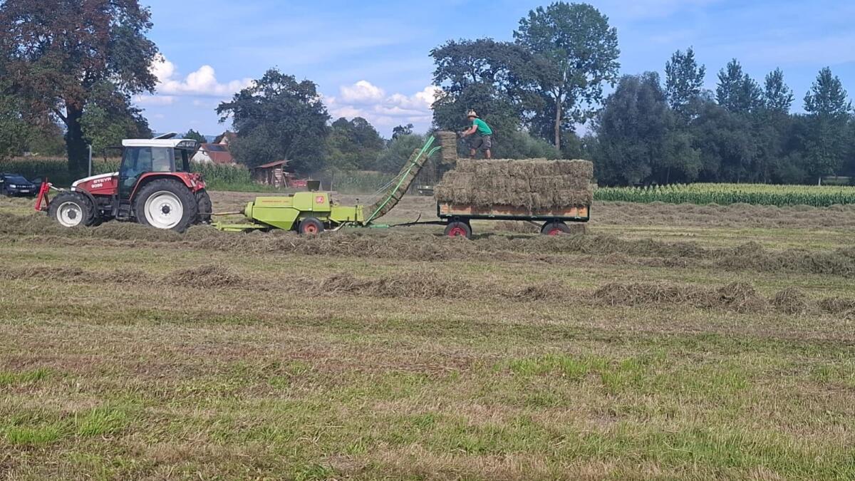 Kleine Heuballen 2