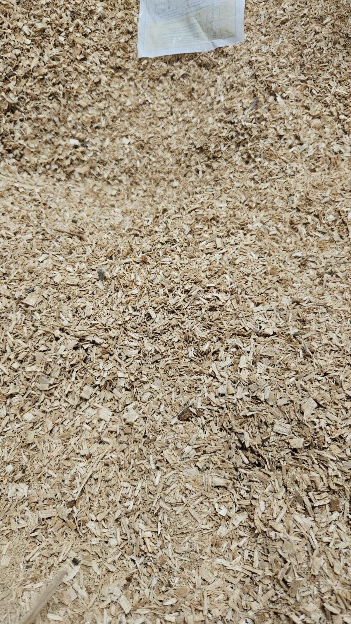 Sägespäne Hartholz Buche und Esche 2