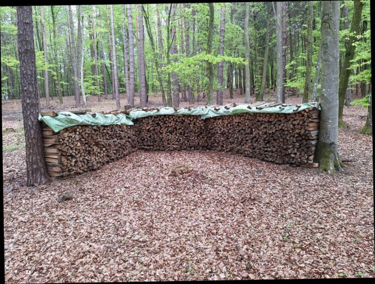 Brennholz Buche 1