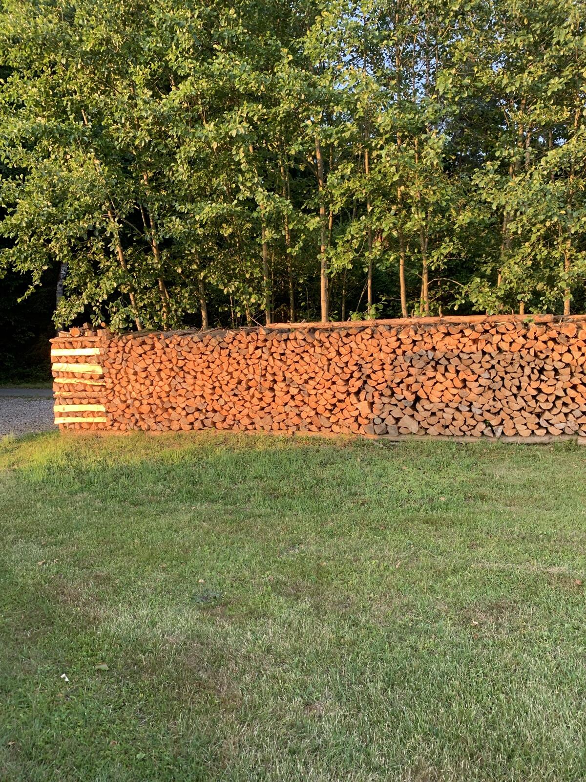 Brennholz Buche, Fichte 2