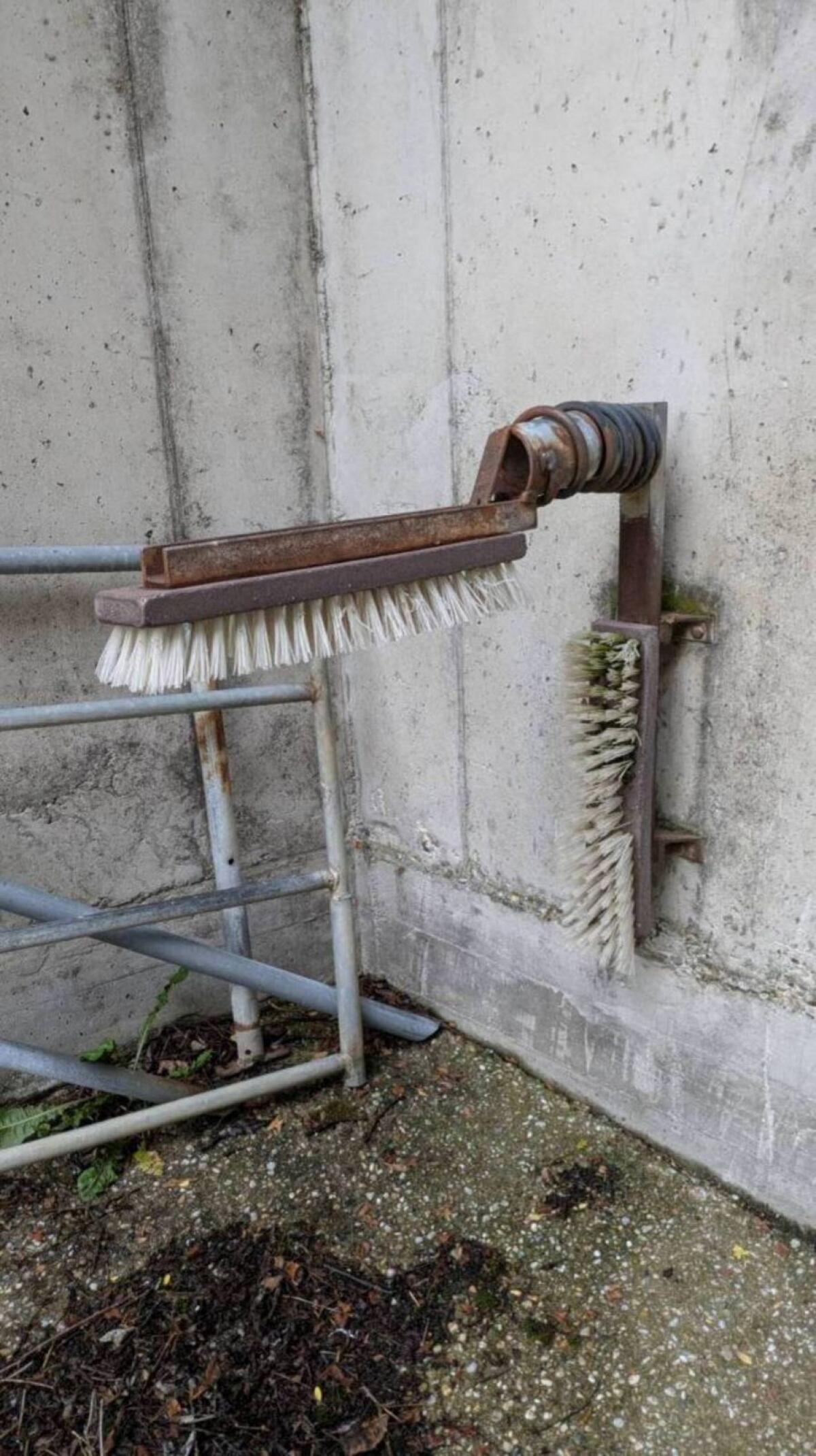 Kälber Fressgitter, Kratzbürsten 3