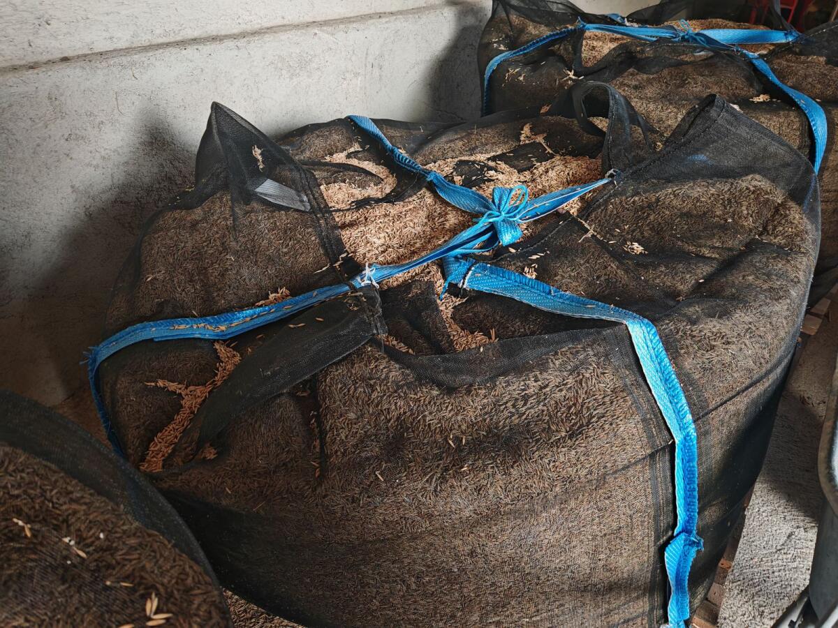 Bio Hafer zu verkaufen ca. 500 kg 2