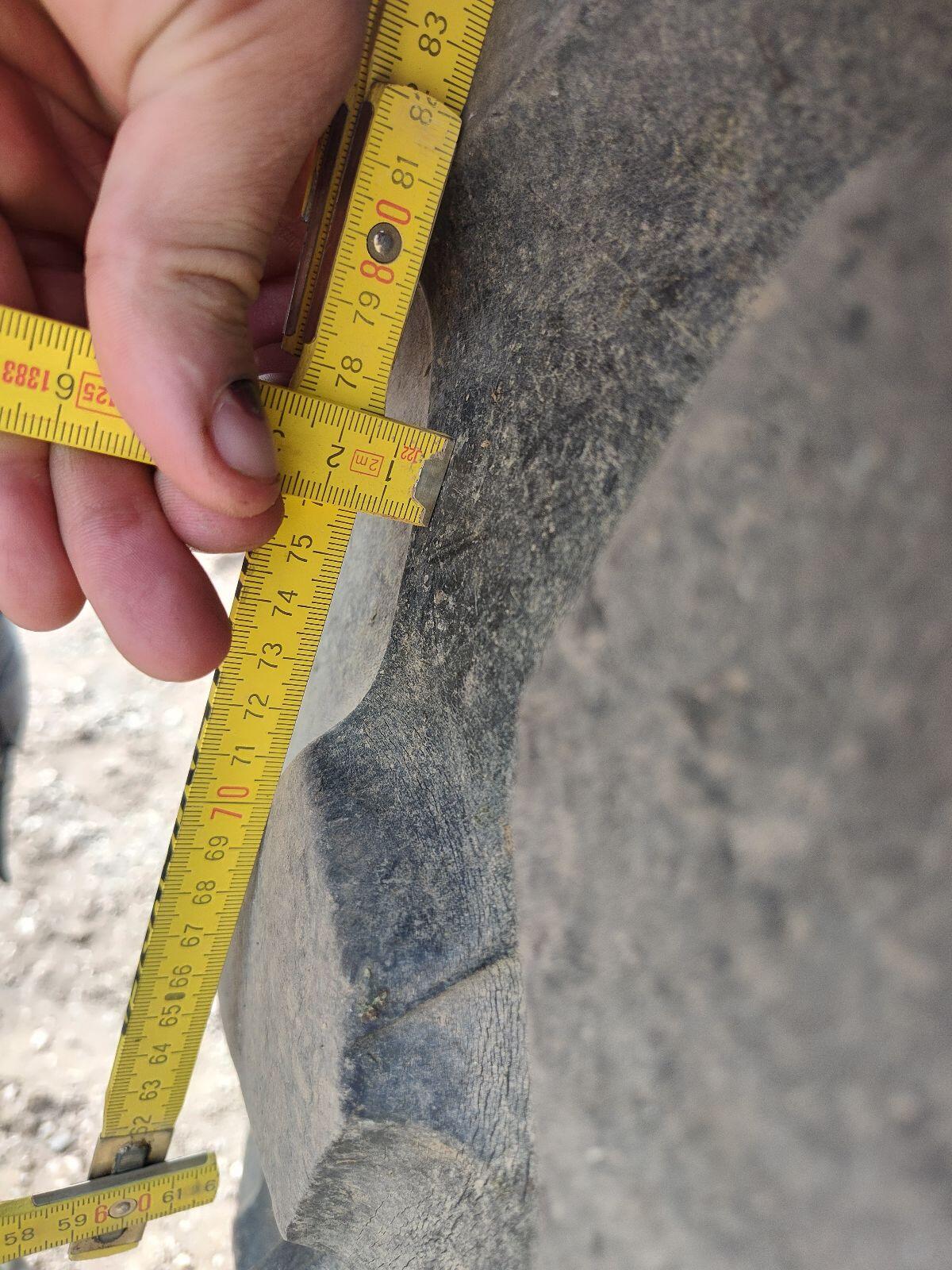 Trelleborg 600/65 R38 3