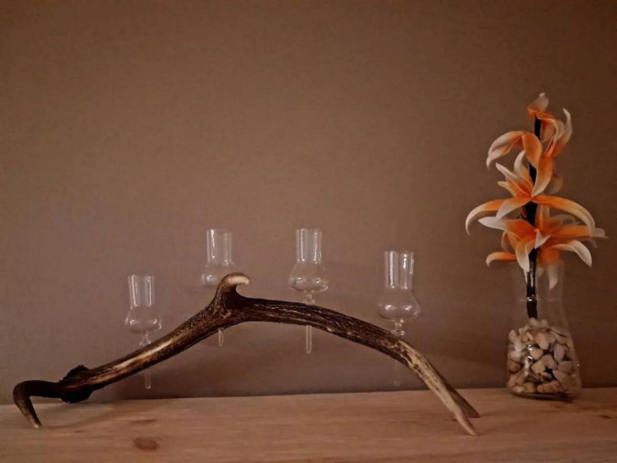 Hirschgeweih mit 4 Schnapsgläsern, urig 1