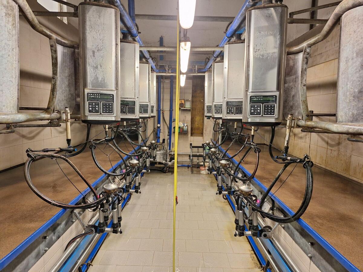 Melkstand DeLaval 1