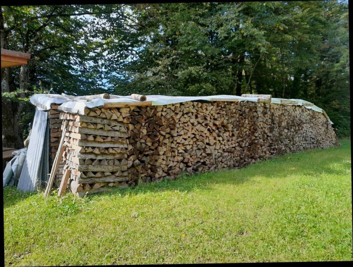 Brennholz Hartholz trocken 1