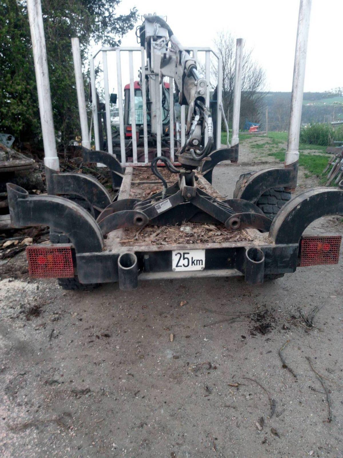 Rückewagen Forstanhänger Bernardi 1