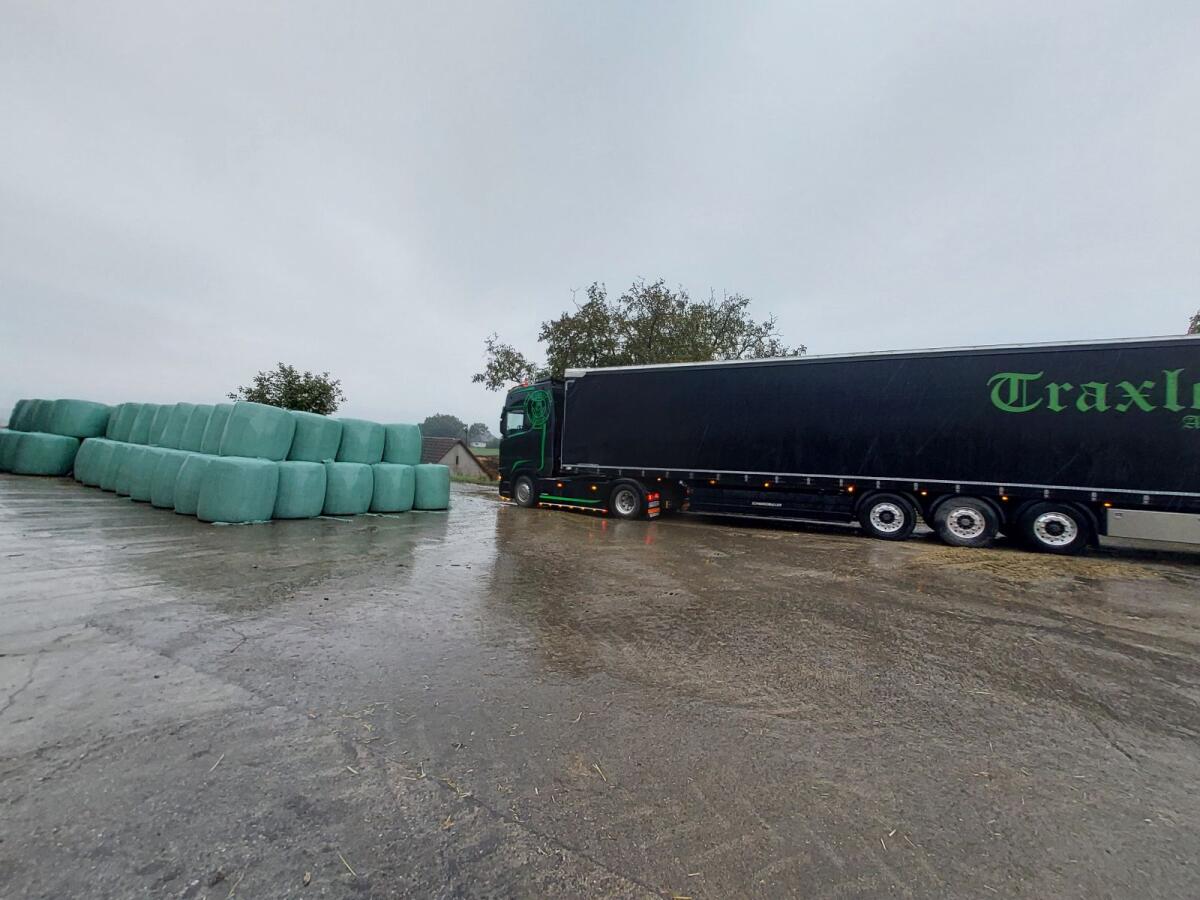 Bio Maissilageballen 1