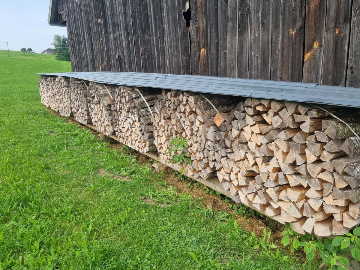 Brennholz 2