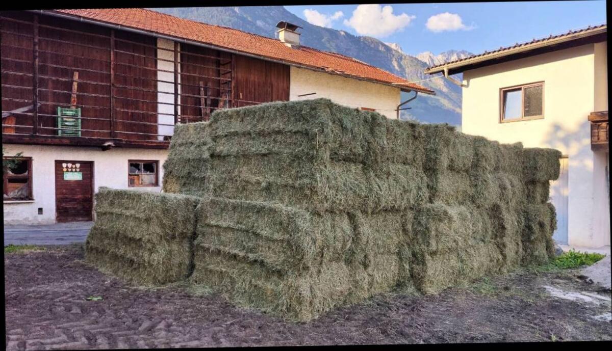 Heu in Quaderballen 1