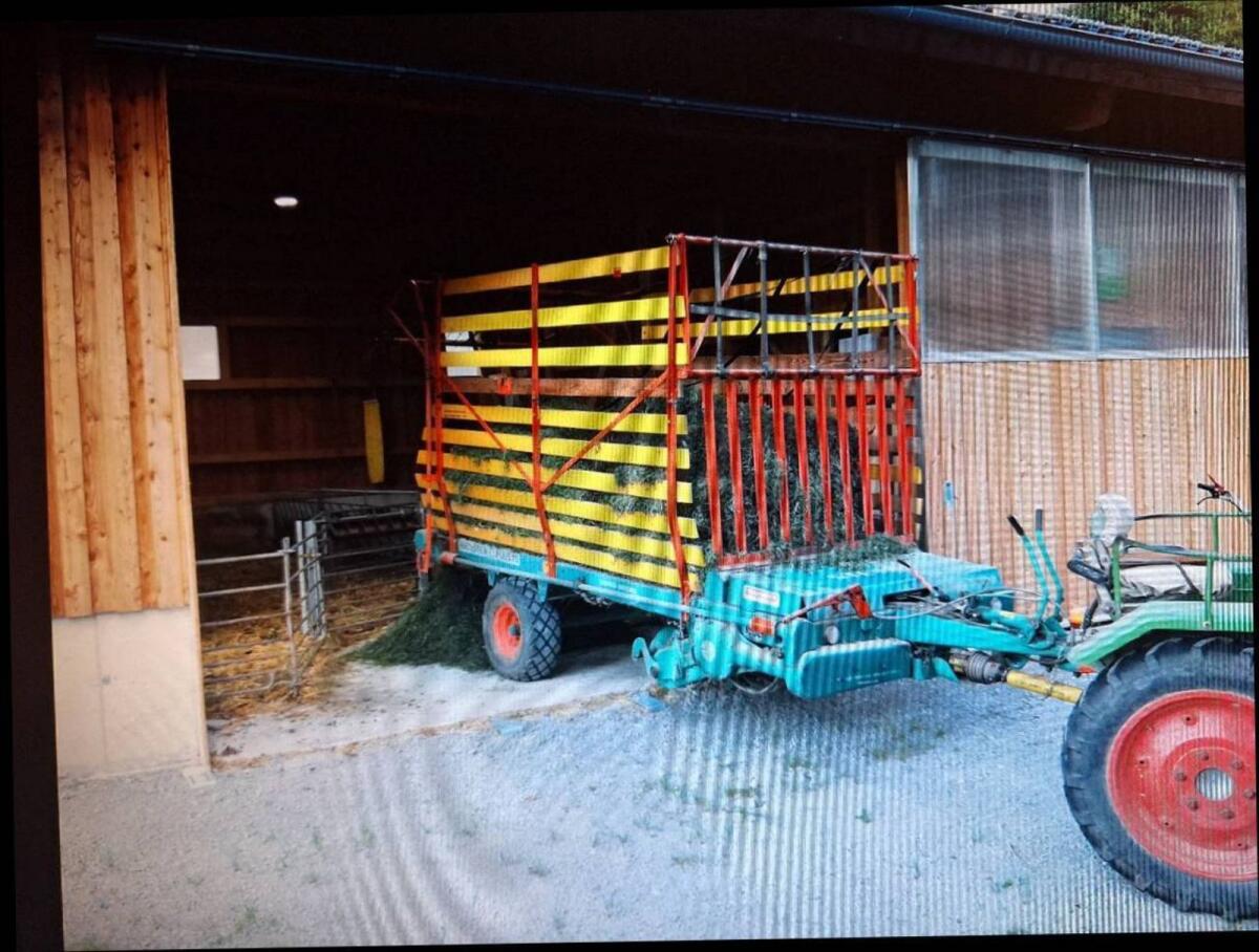 Steyr Hamster 15 2
