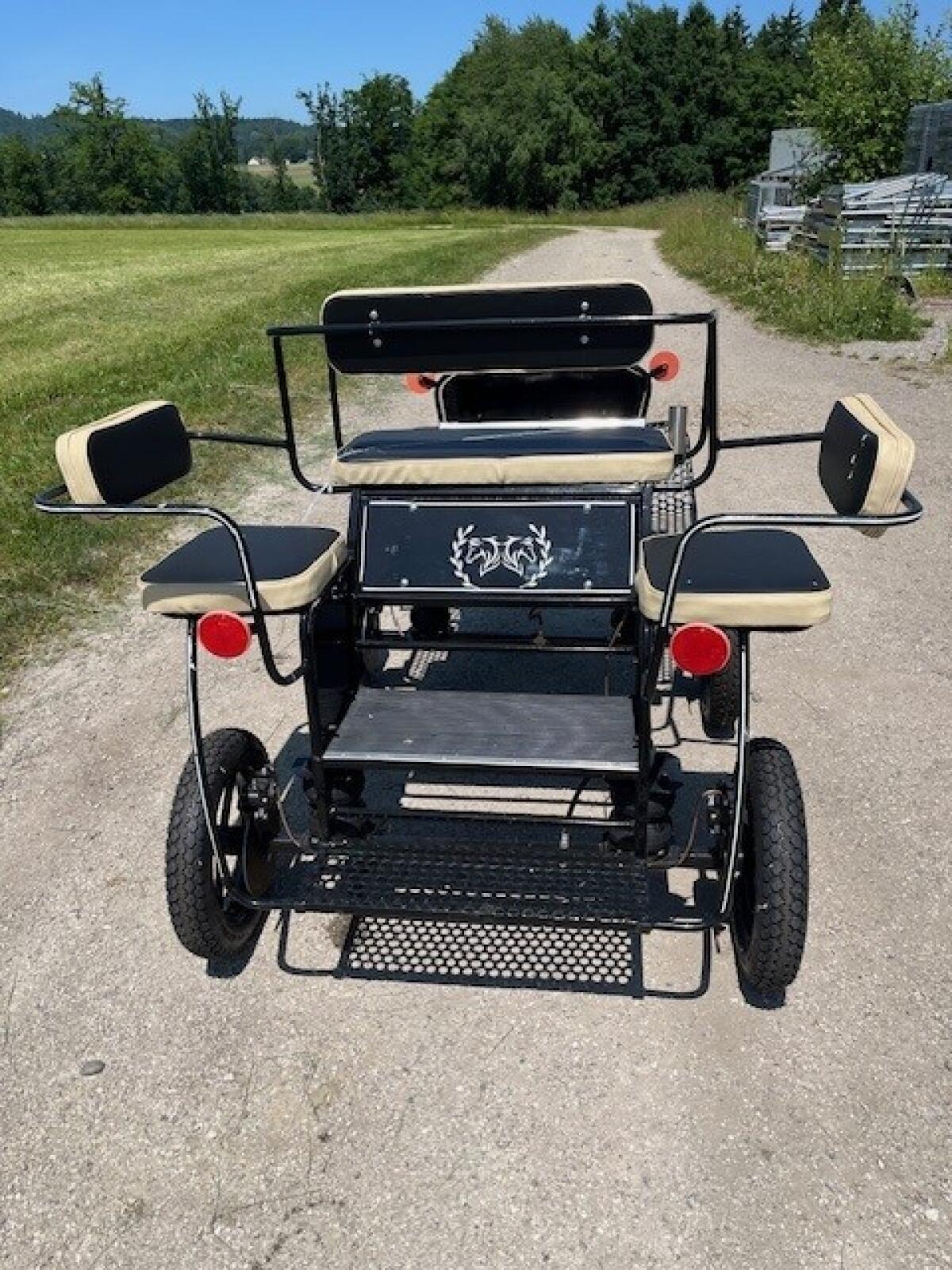 Mini Pony Kutsche Bj. 2025 2