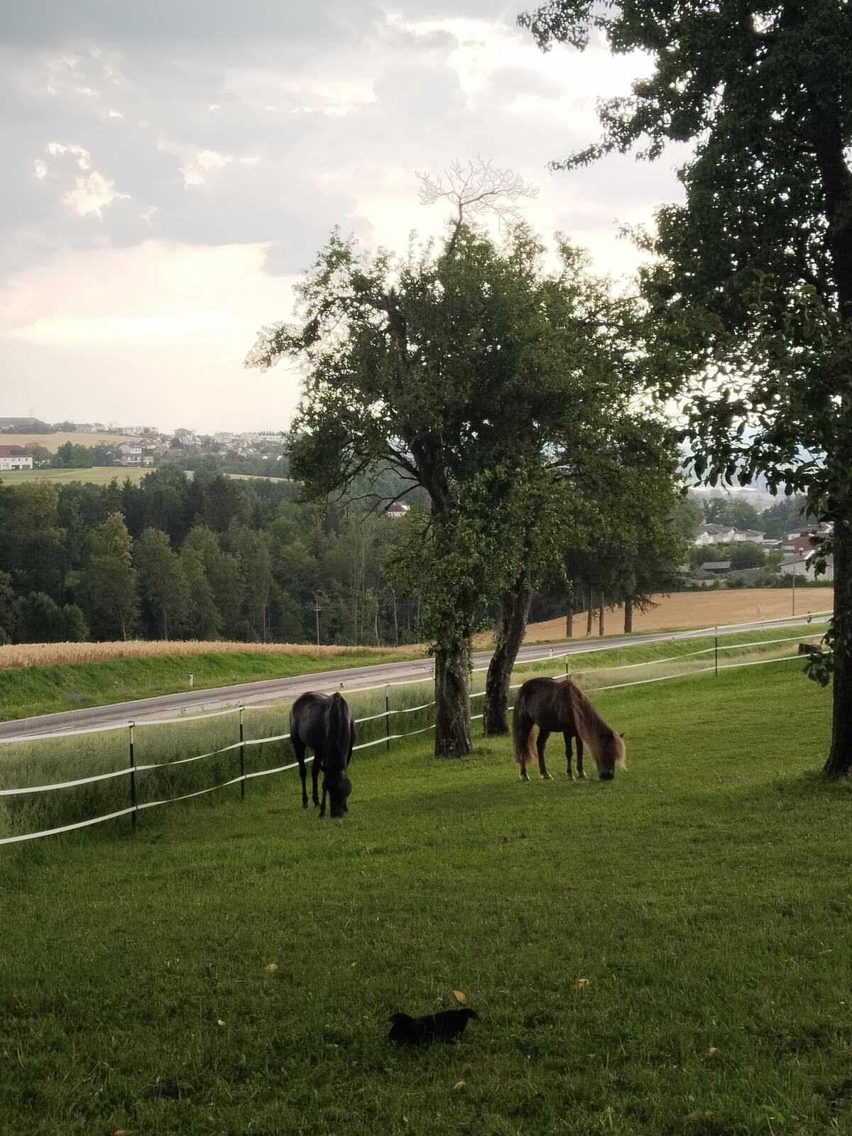 Ab sofort! Einstellplatz für Oldie in Kremsmünster 3