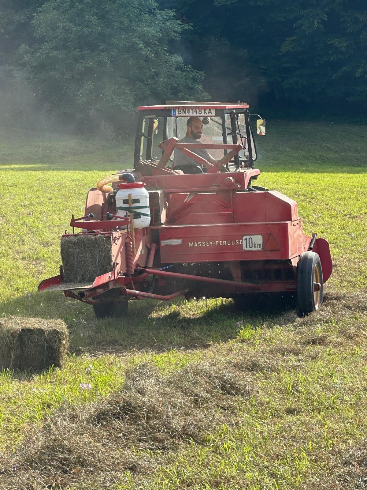 Heuballen Grummet Kleinballen 1