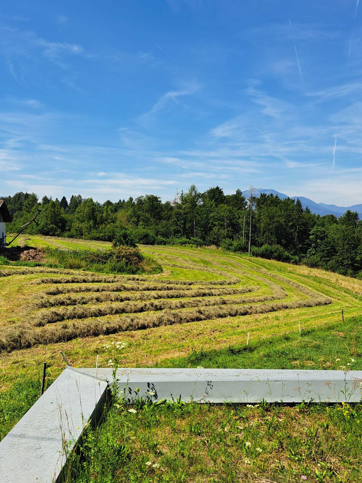 Silageballen 3