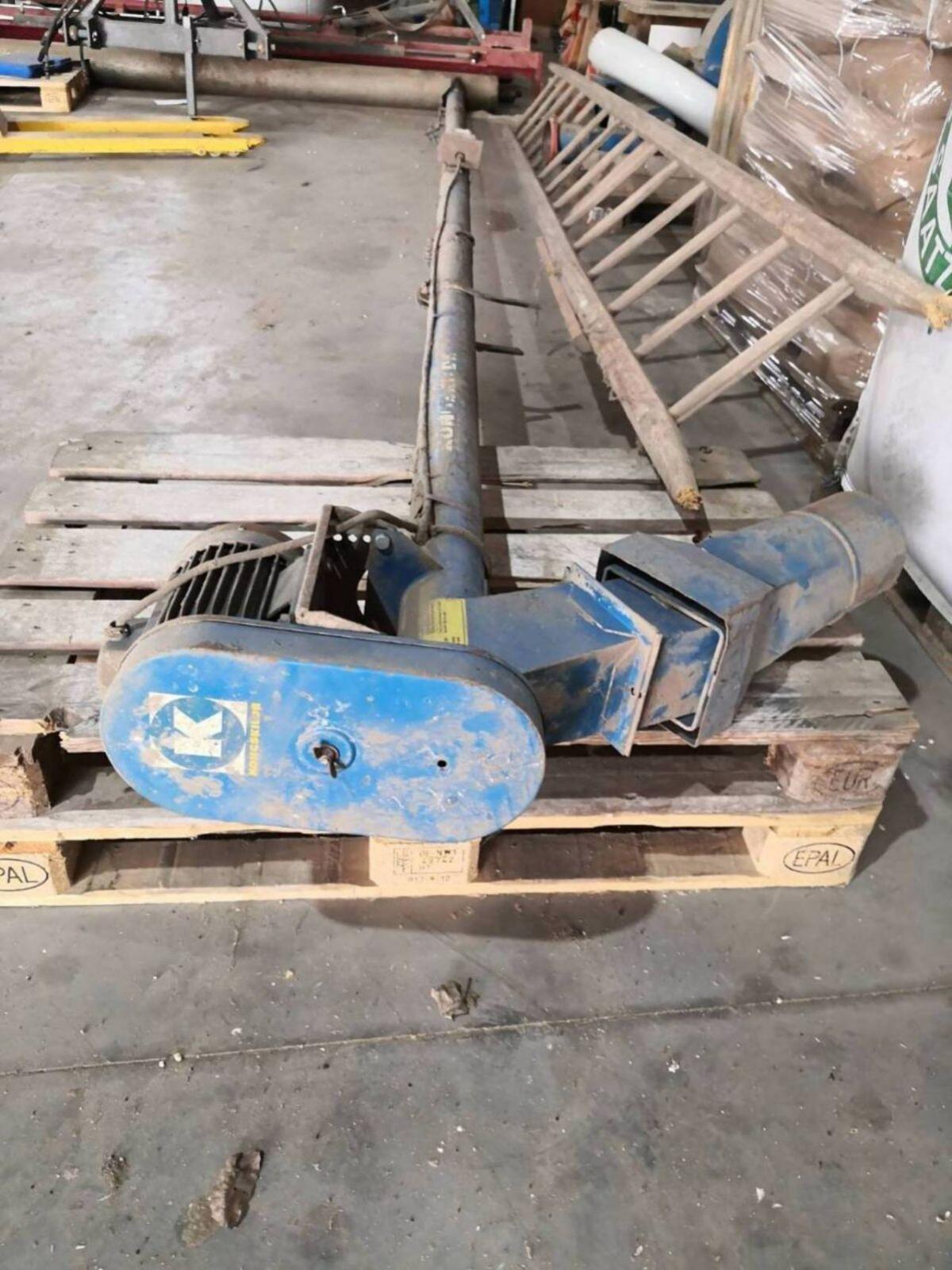 Körnerschnecke Kongskilde 2