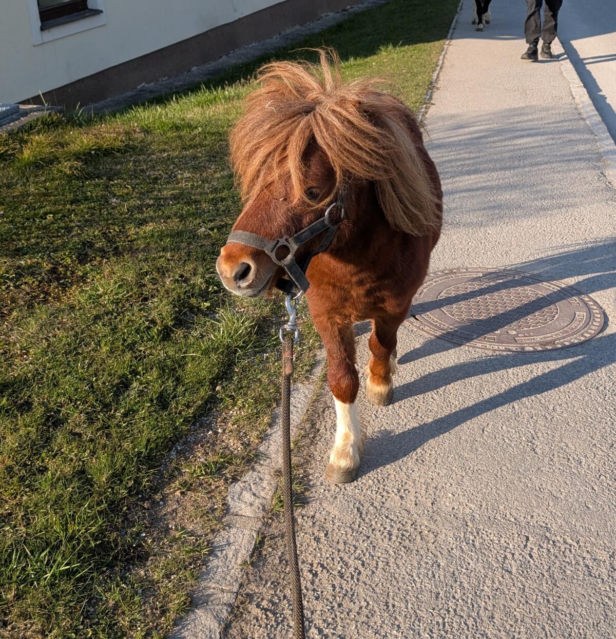 Mini Shetty 2