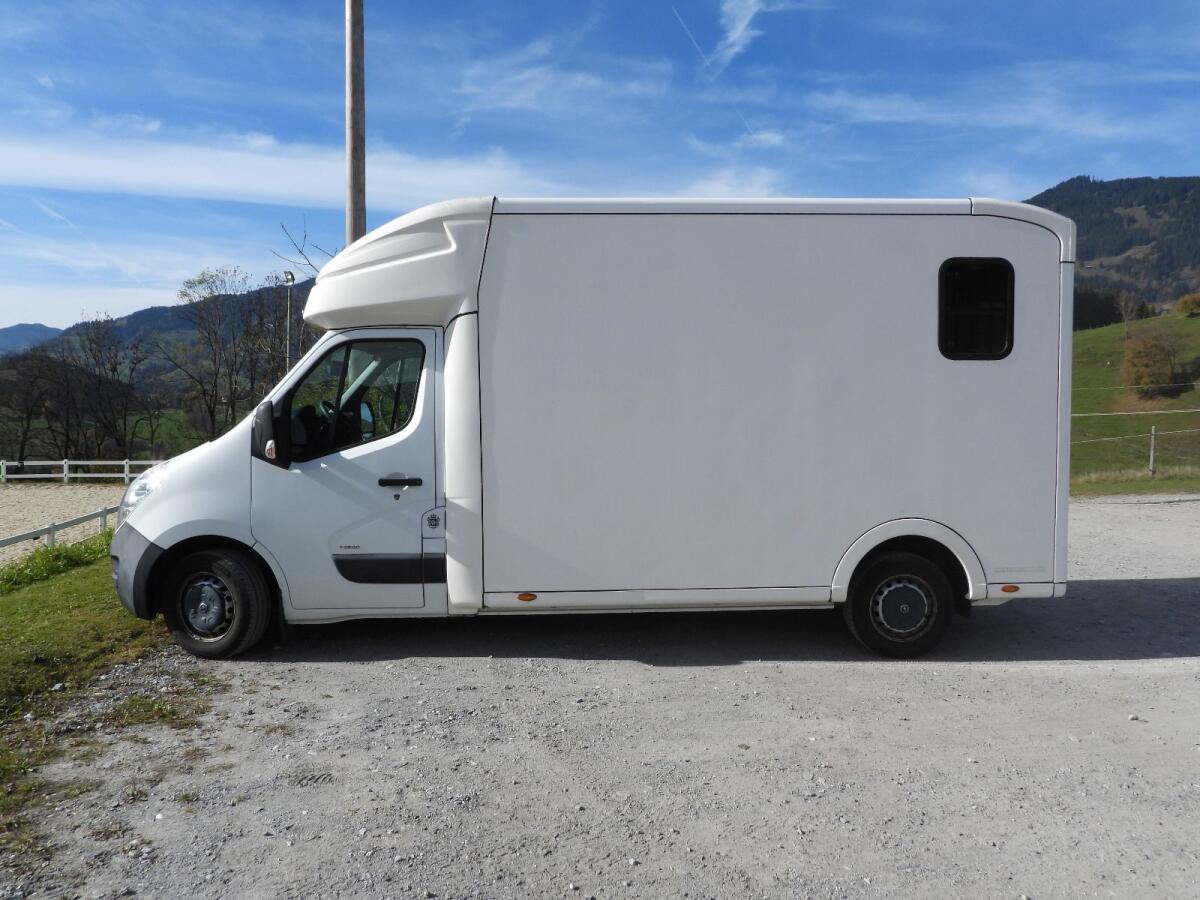 Pferdetransporter Paragan Equistar 3XL (Opel Movano) 1