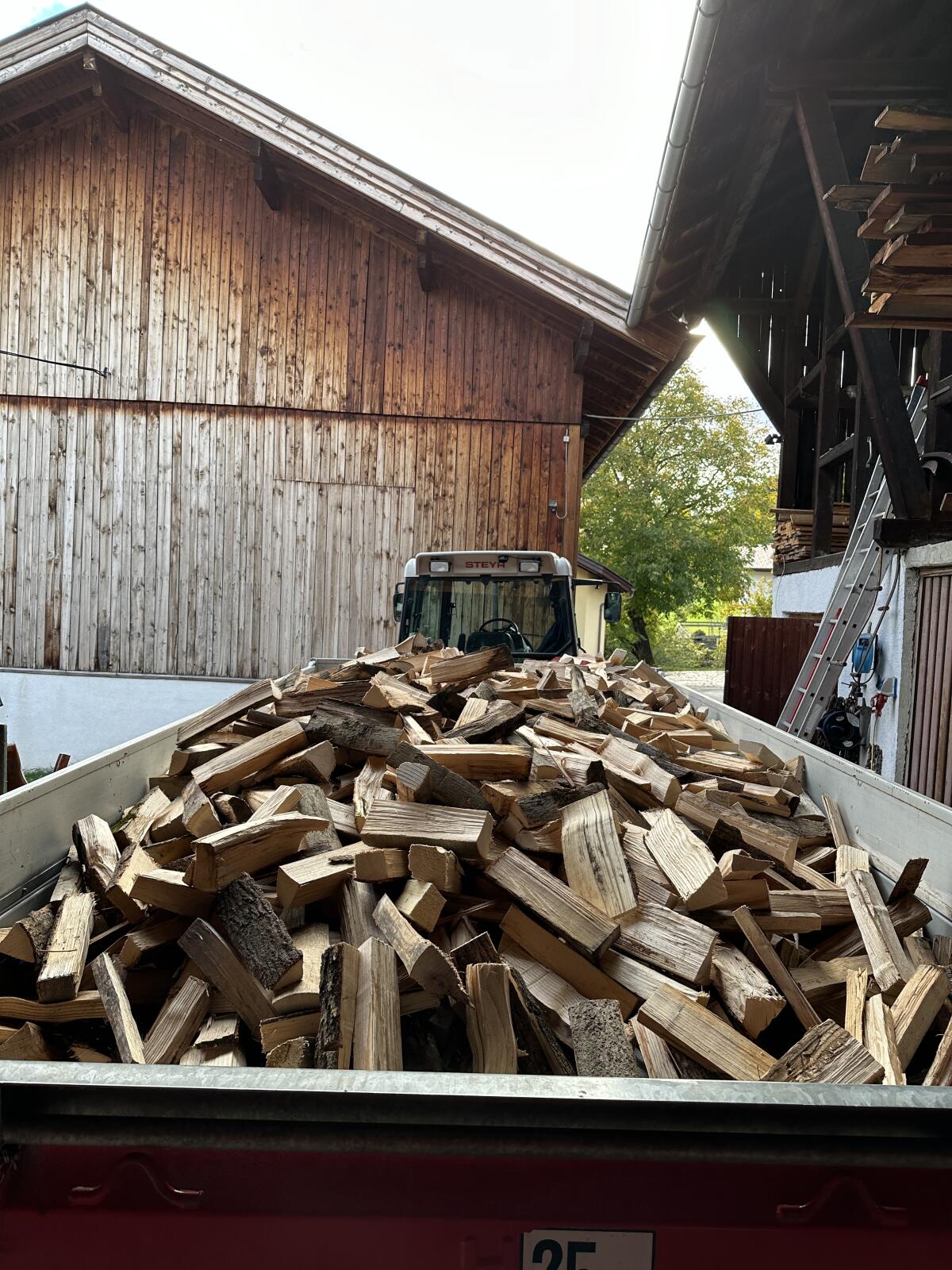 Brennholz Buche oder Fichte 2
