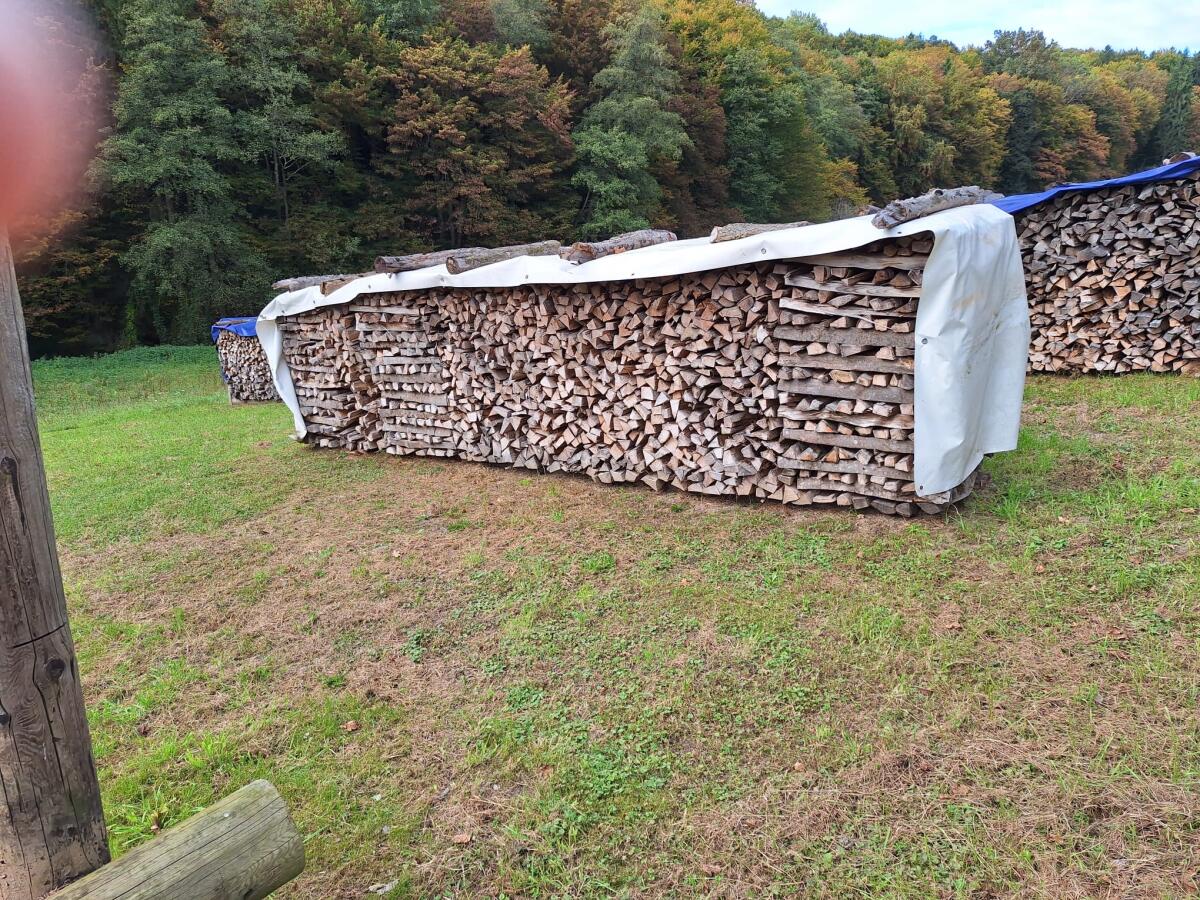 Brennholz Buche 2