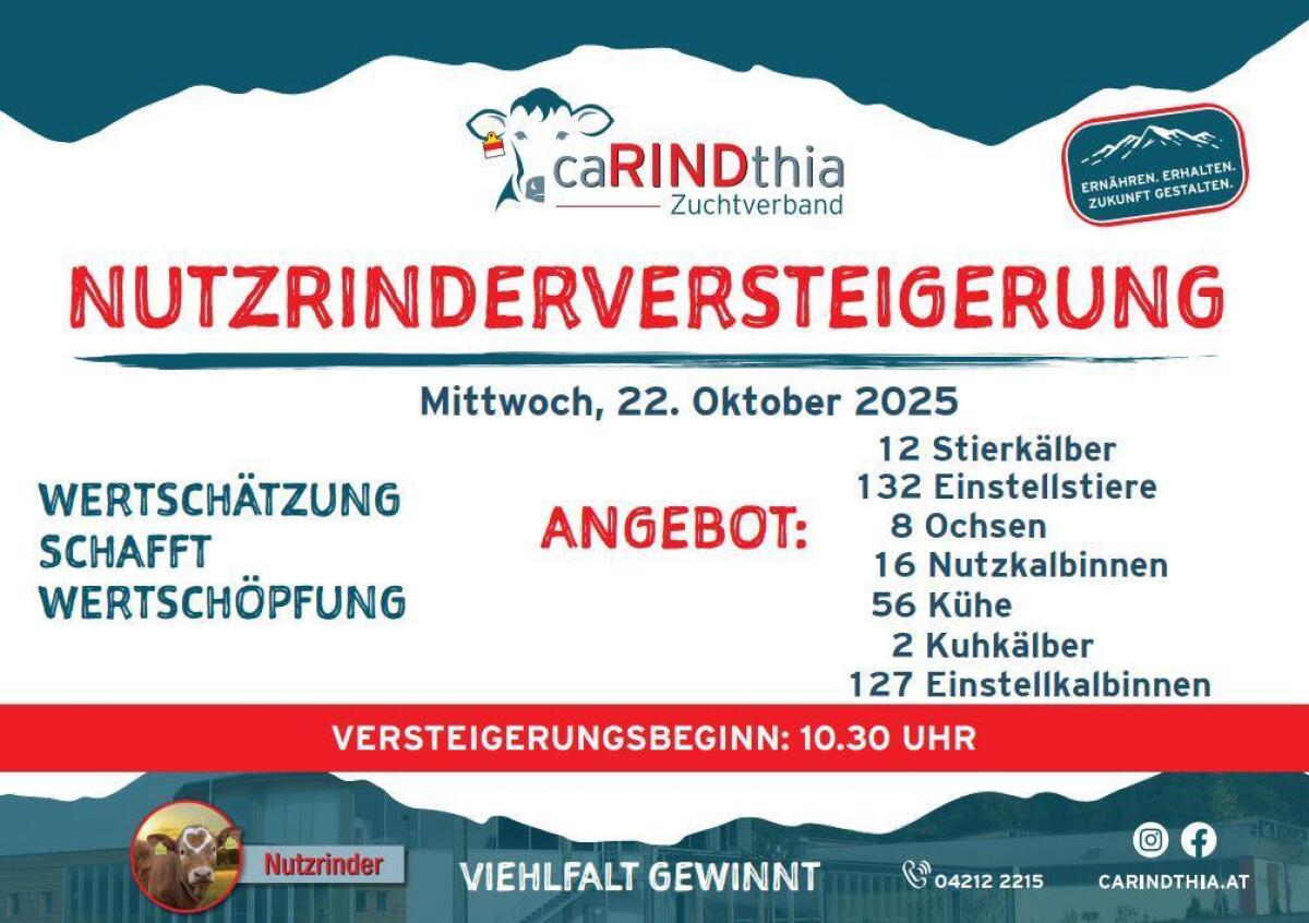 Einsteller Nutzrinder 2