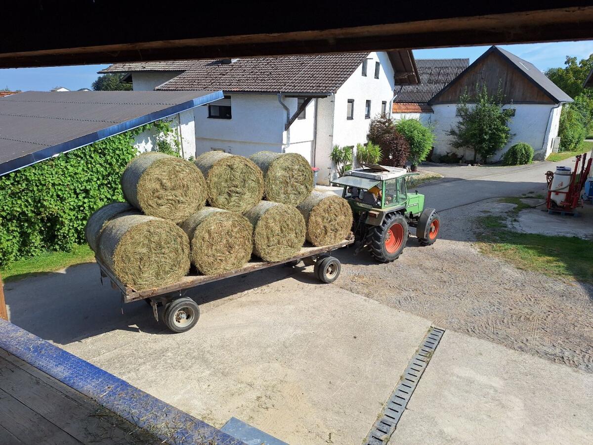 Rundballentransporter 2