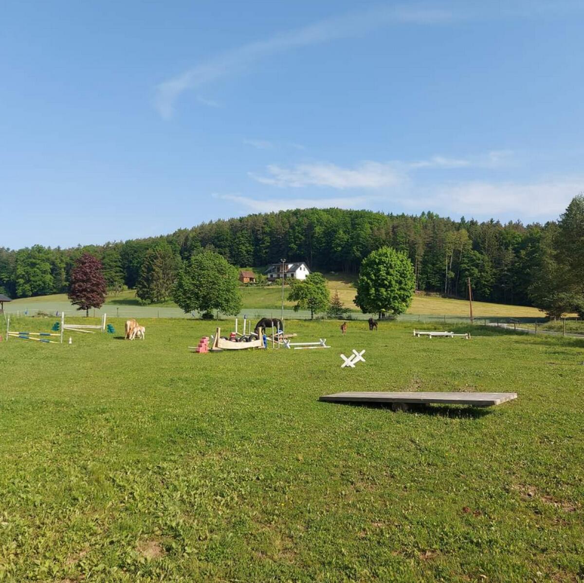 Einstellplatz am Pferdehof Kulmland 2