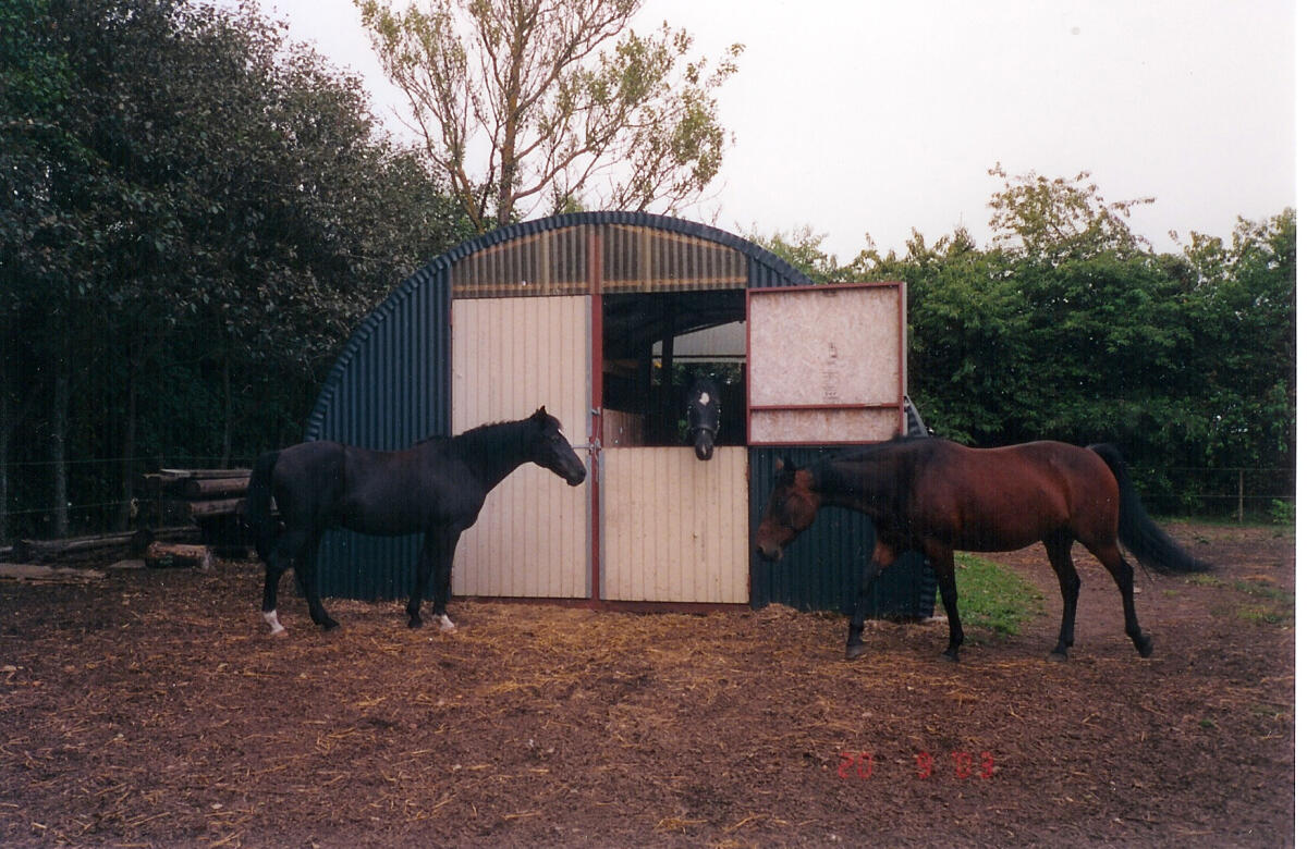 Rundbogenhalle 5 x 6 m, Kälberhütte, Maschinenhalle 3