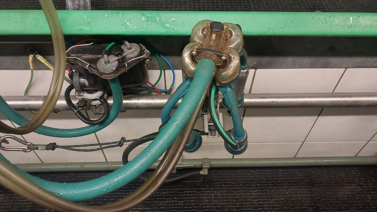 Gea Melkstand 3