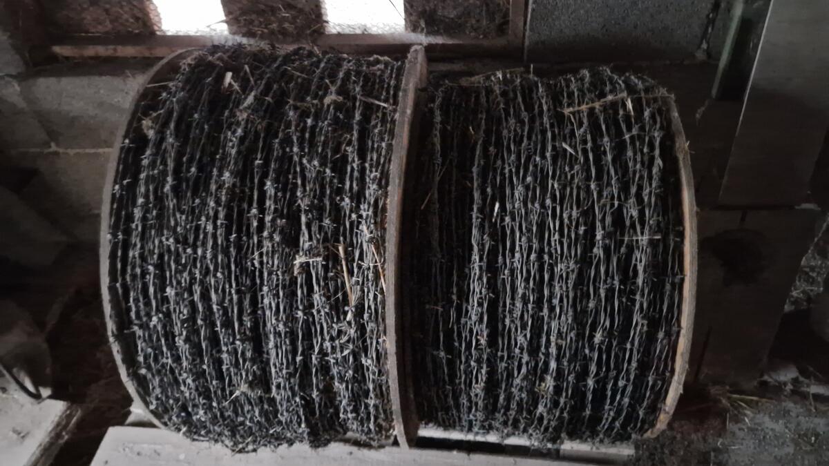 Stacheldraht 1