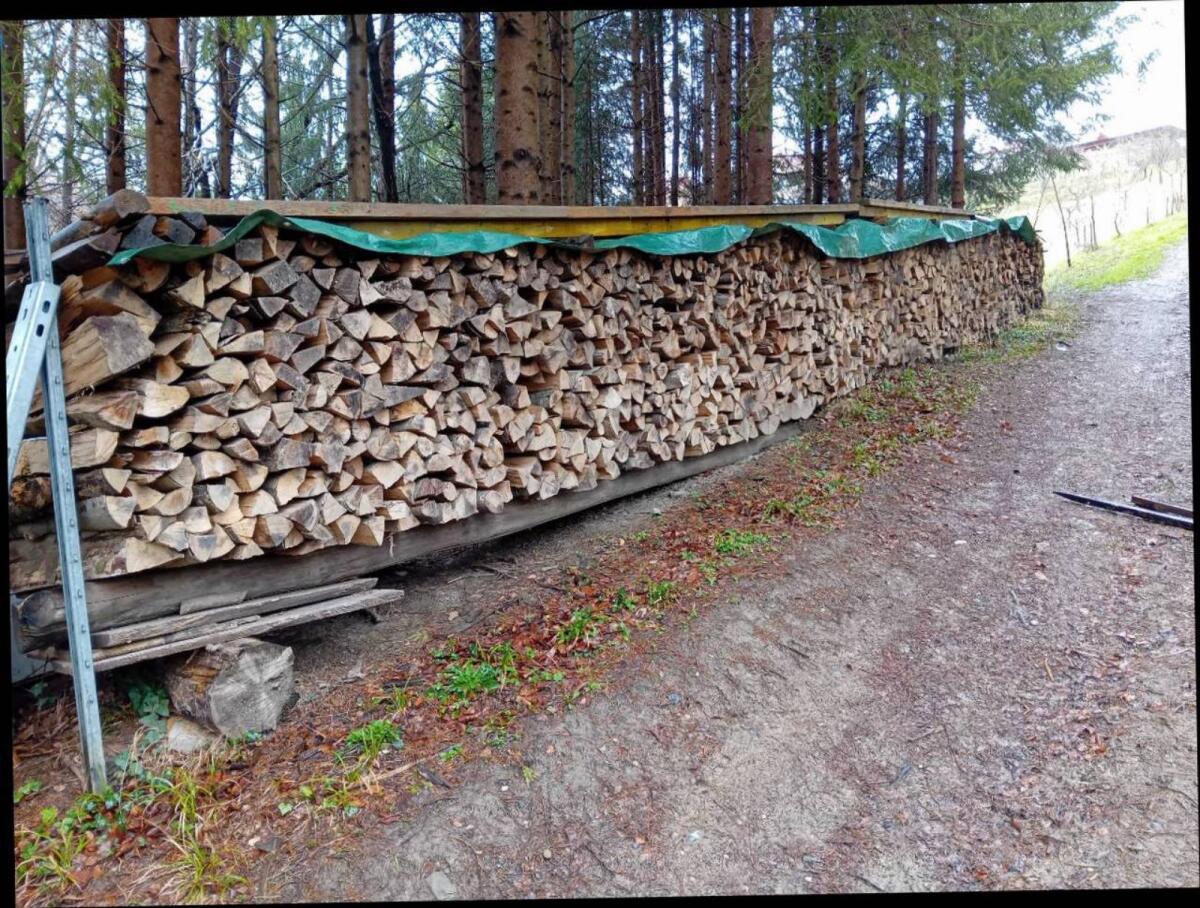 Buchenbrennholz 1