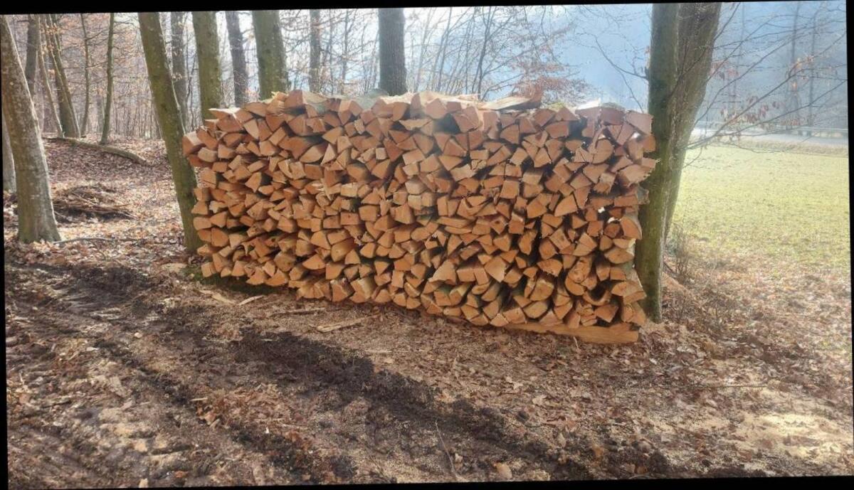 Buchenholz, Brennholz, Hartholz 2