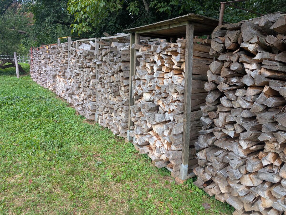 Brennholz Buche 3