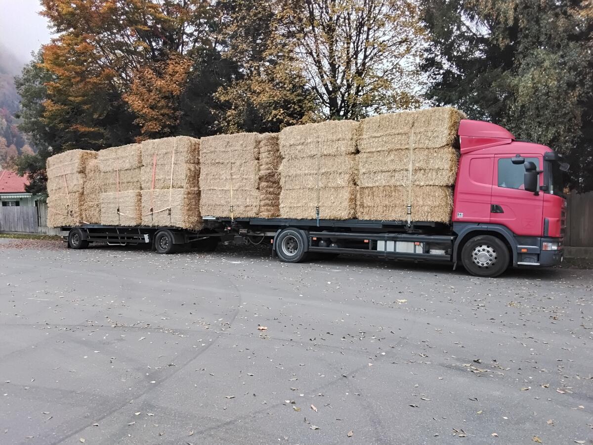 STROH - zum besten Preis 1