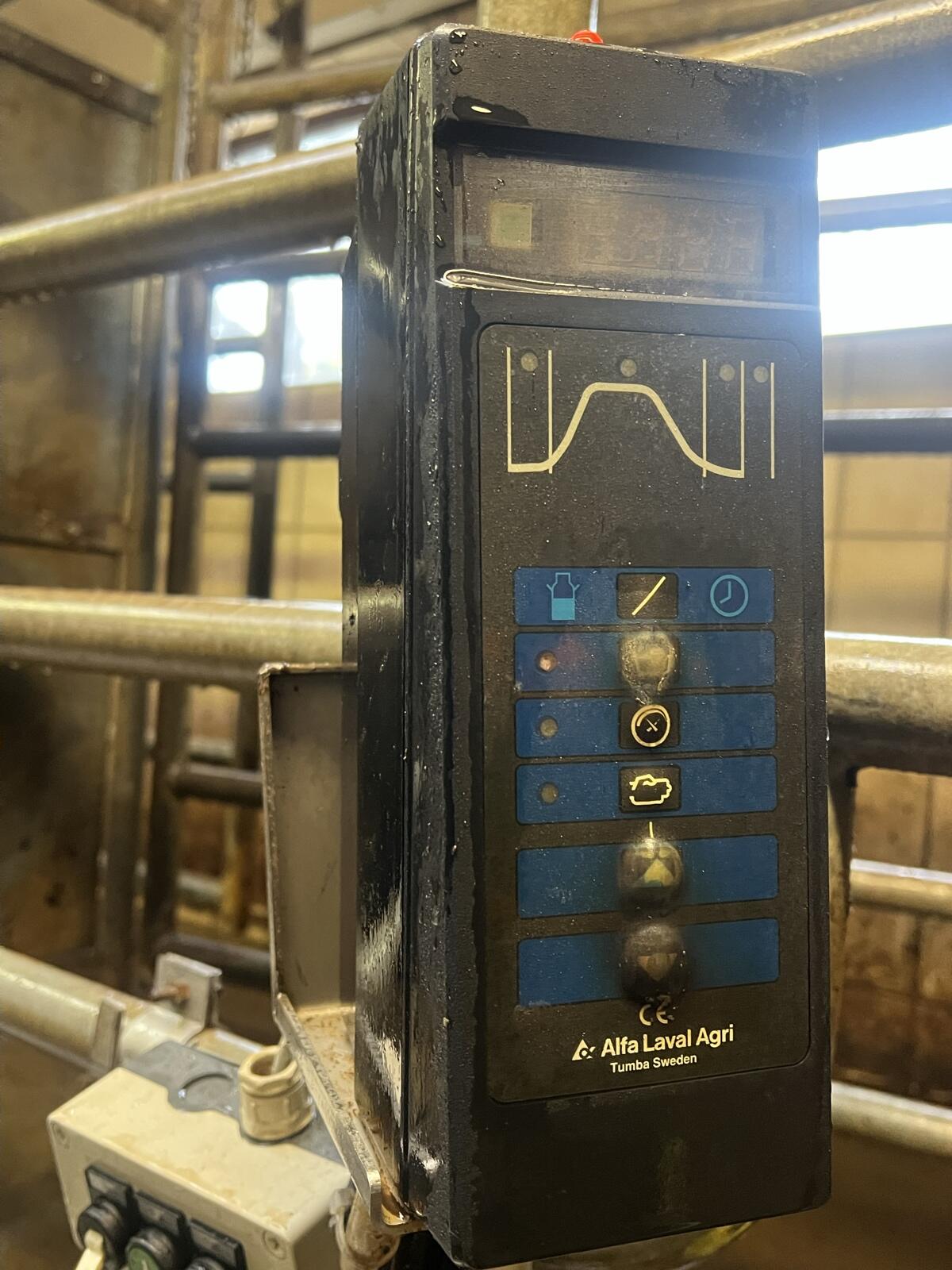 Melkstand Alfa Laval De Laval Tandem Melkzeug 1