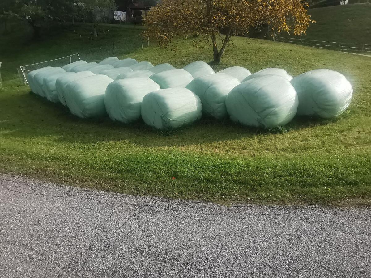 Siloballen 1. Schnitt 2