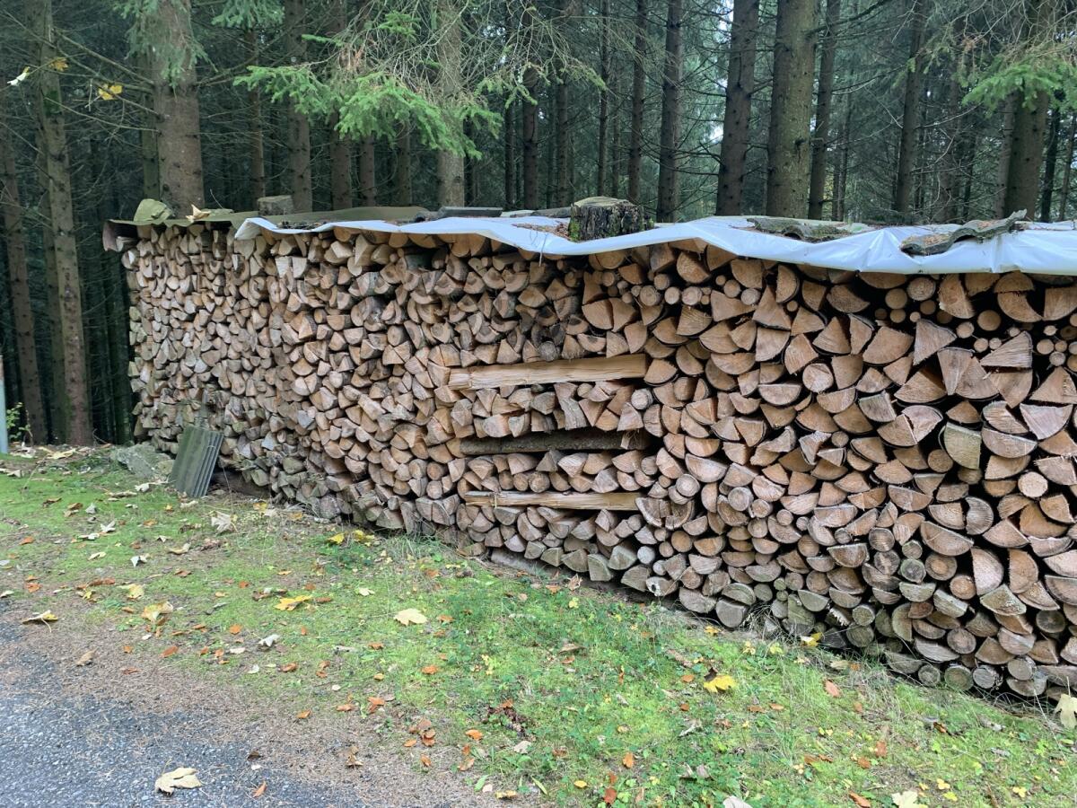 Brennholz 2