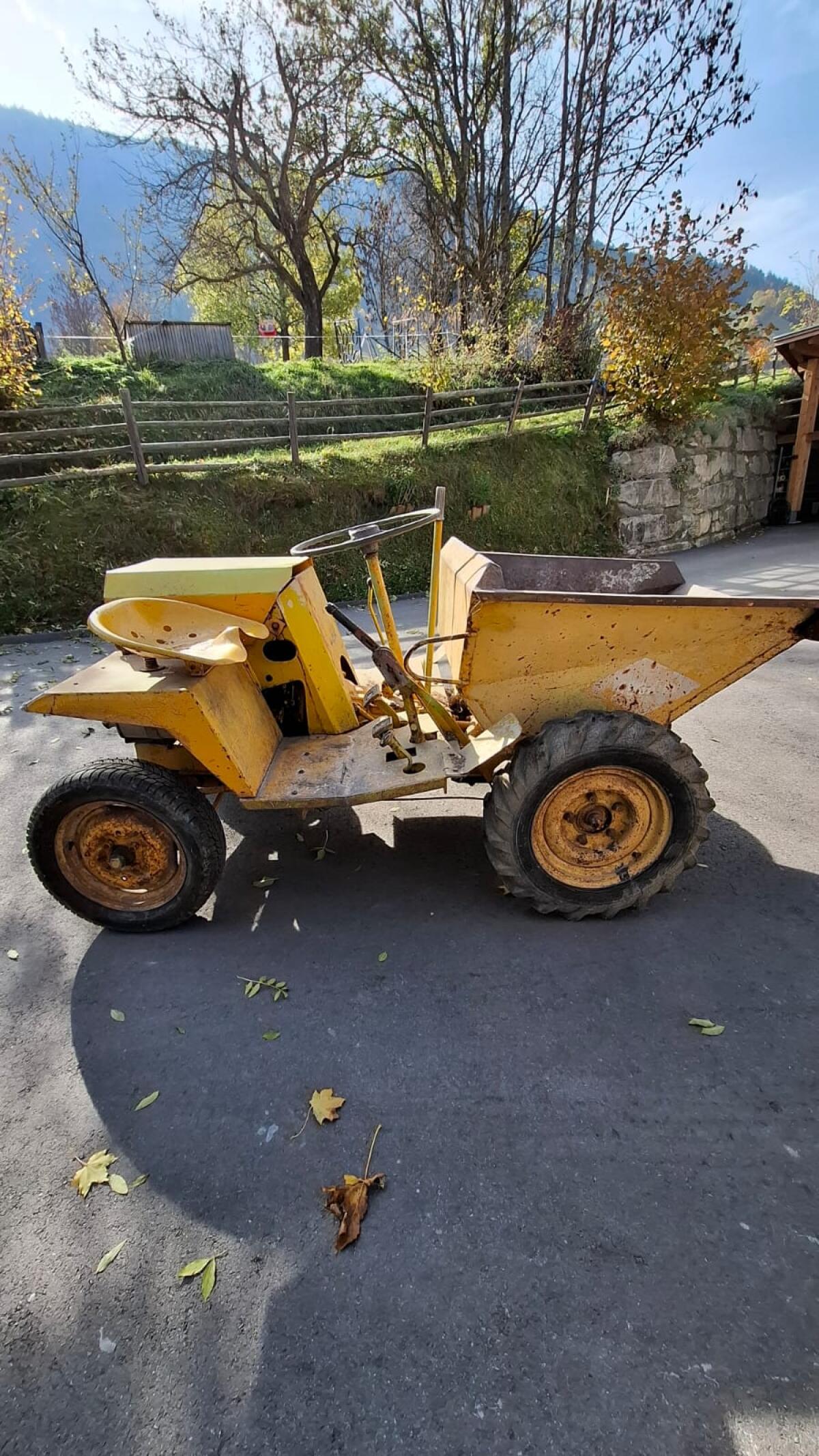 Dumper Oldtimer 3