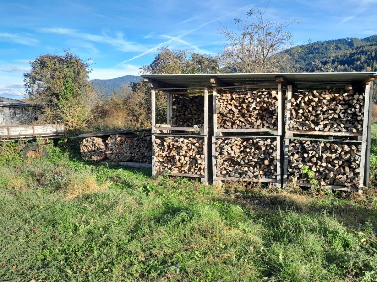 Brennholz Esche und Fichte 2