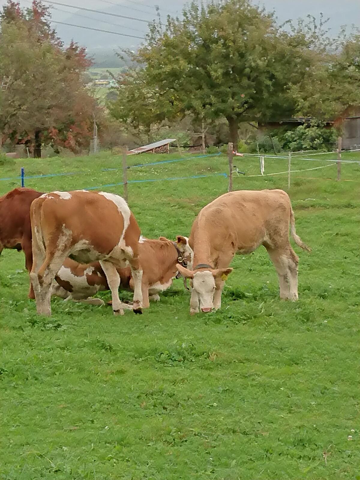 Landwirtschaftlicher Mitarbeiter 3