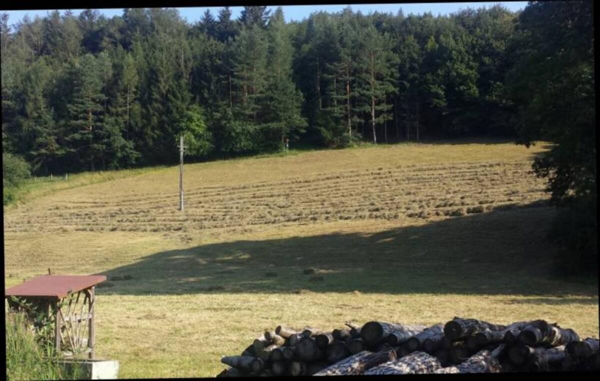 Heu und Grummet Kleinballen 2