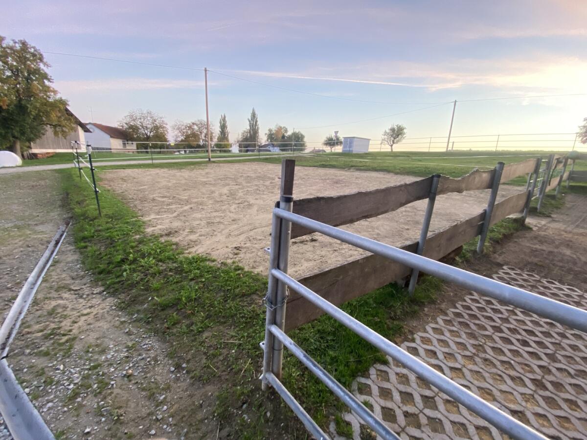 Offenstall f. Pferd, Pferde 2