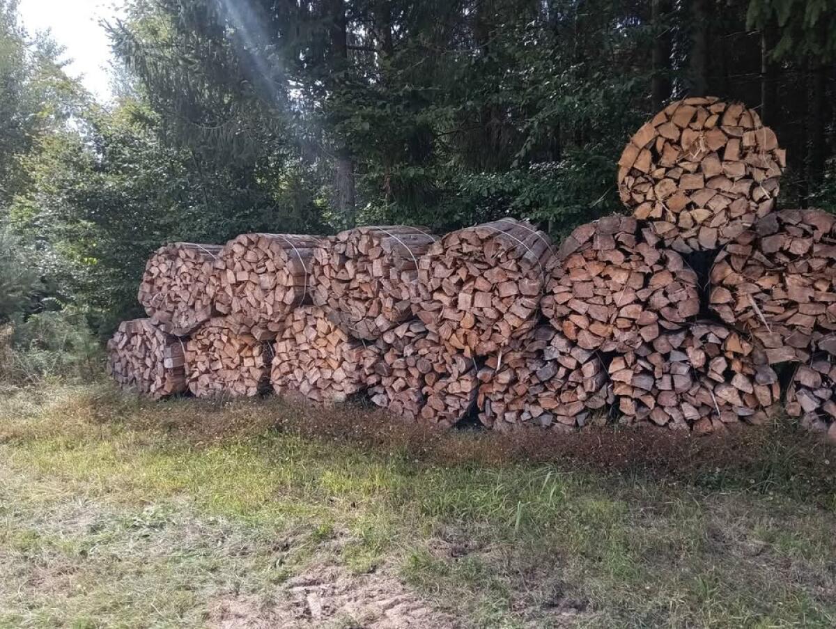 Brennholz (1 m, 50 cm, 33 cm, 25 cm) 2