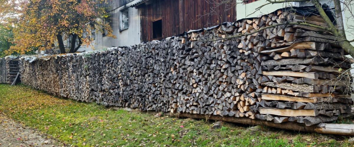 Bucklige Welt: Brennholz Esche trocken 1
