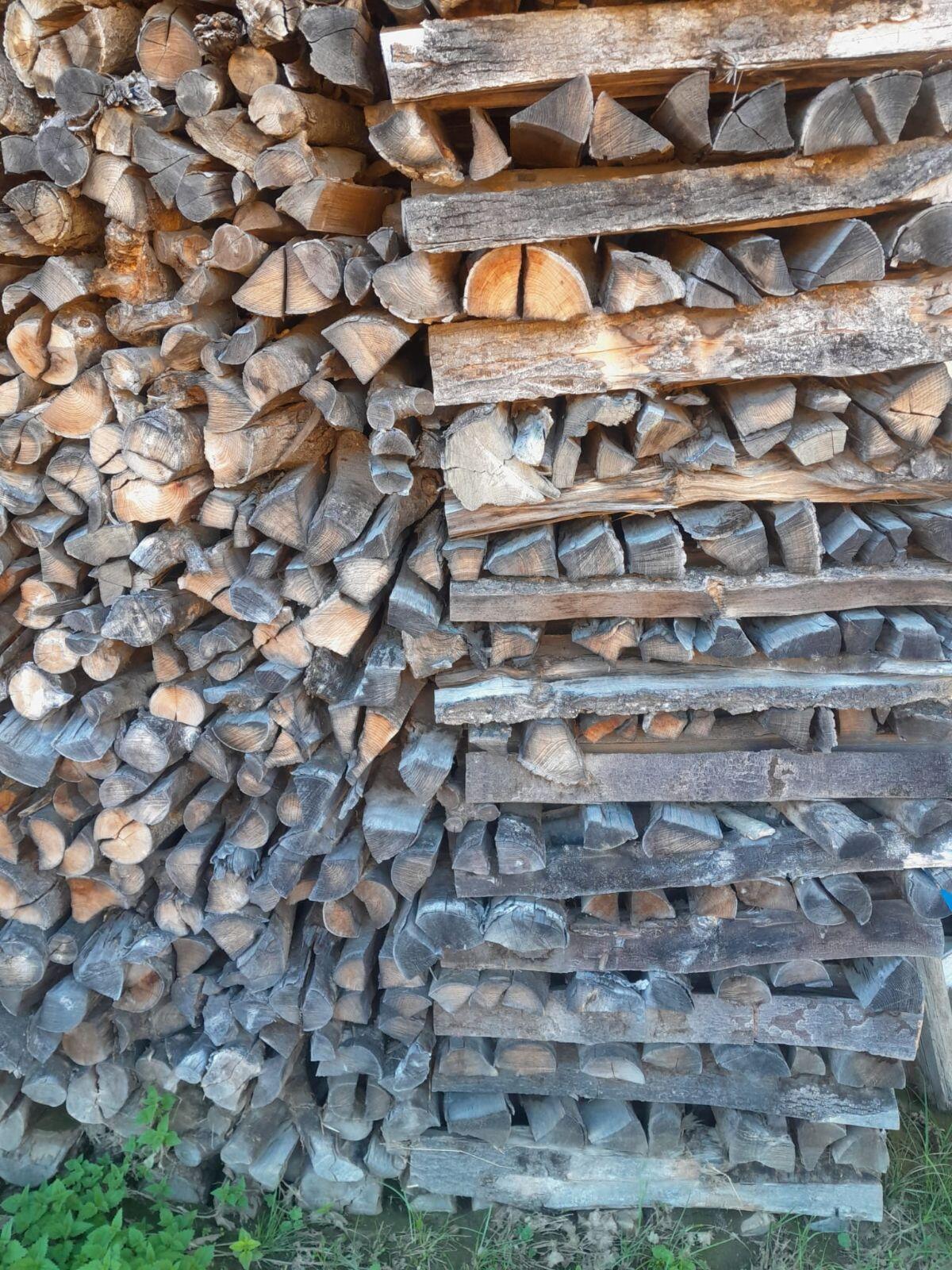 Scheitholz Esche 3