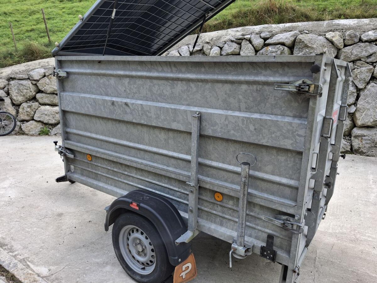 Pongratz Anhänger 1