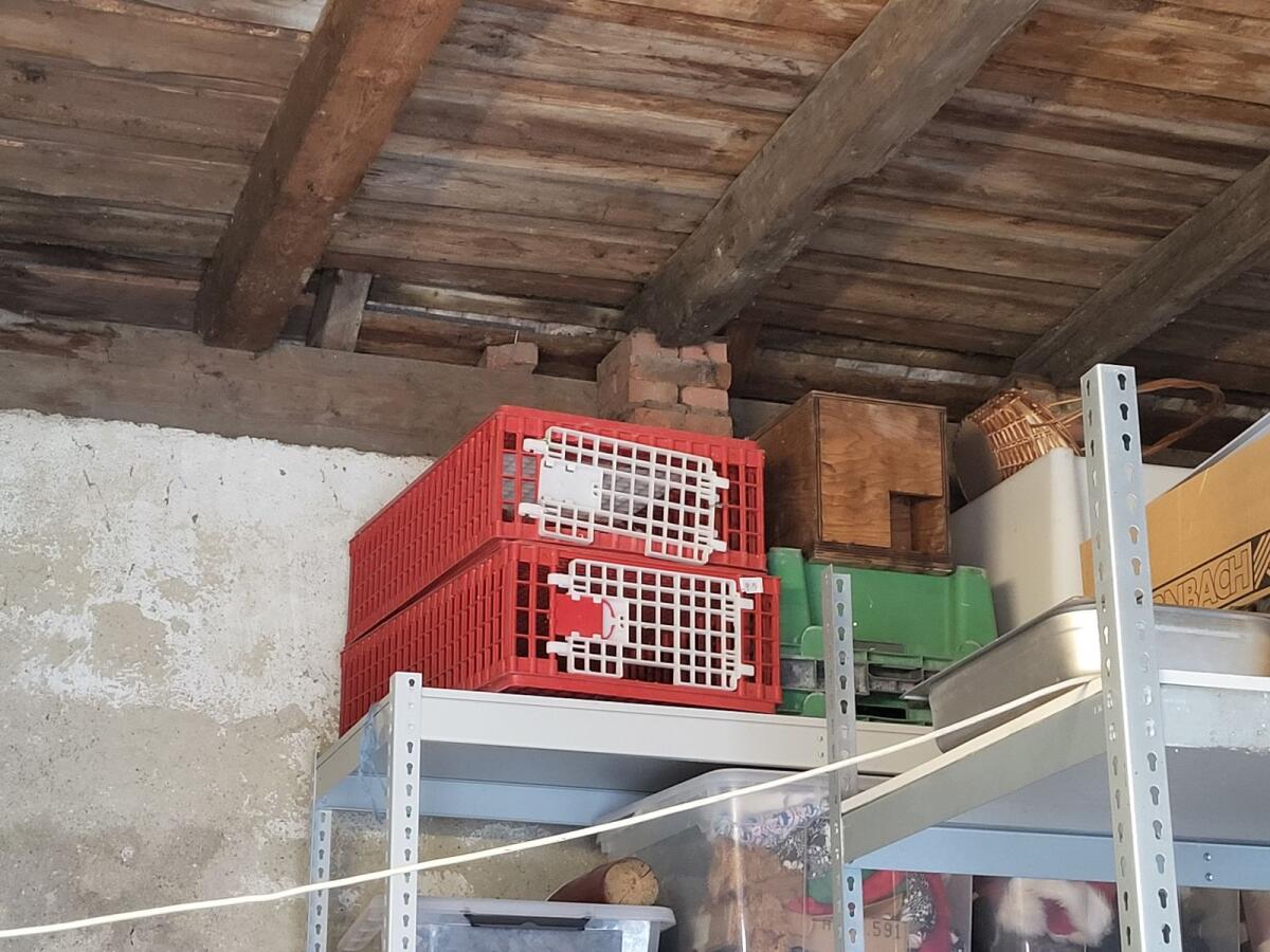 Geflügel Transportkiste 1