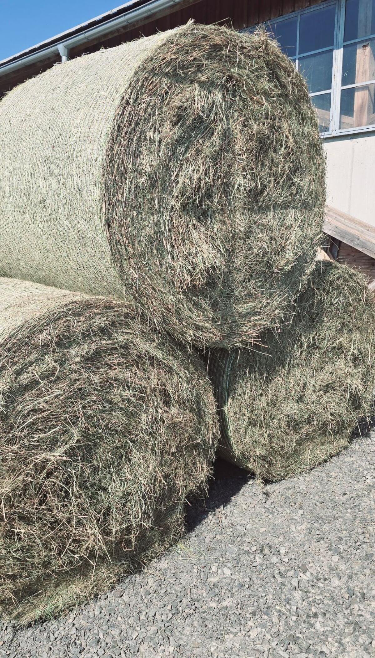 Heu für Pferde und Rinder, Zustellung möglich 3