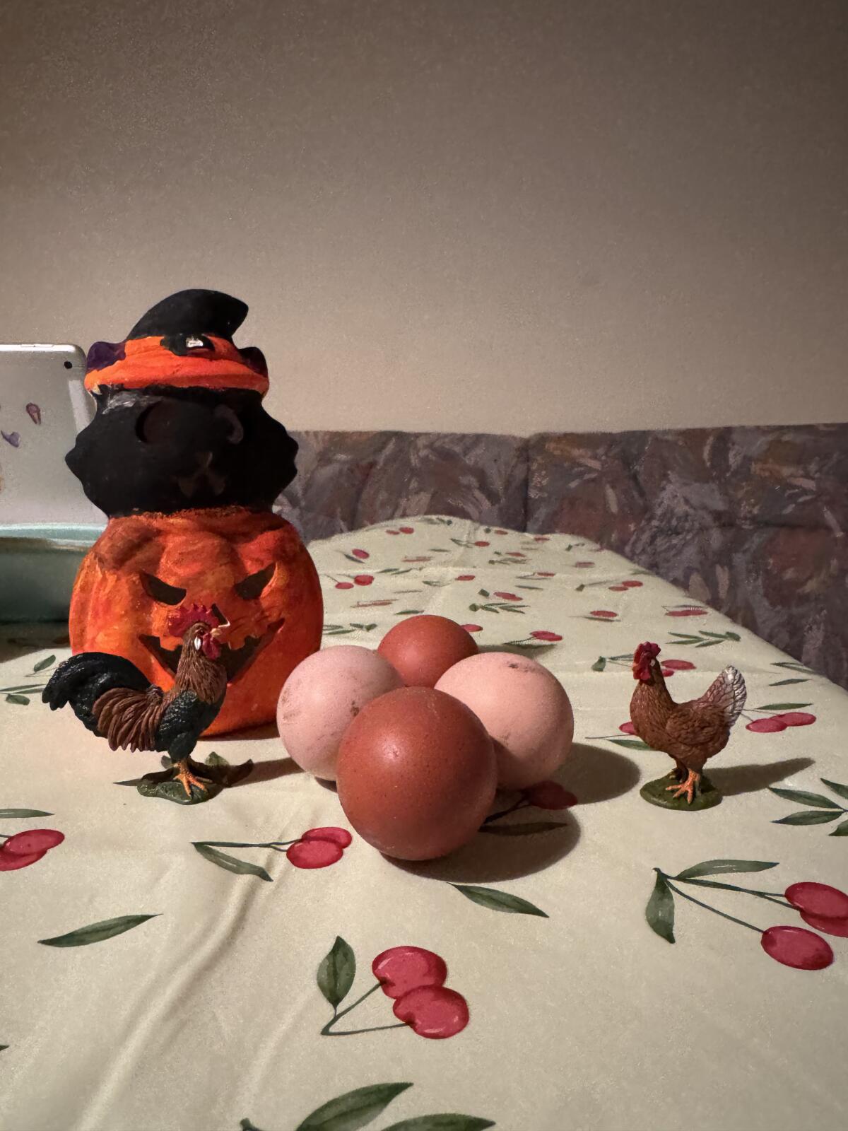 Brahma und Grünleger zu verschenken 2